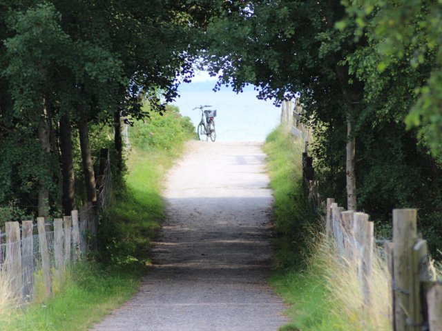 Bilder 23.07.2017 Flashmob